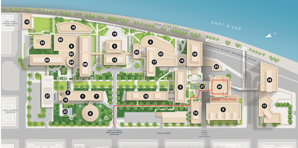 Map of the Rockefeller University campus with the path to the Weiss Research Building highlighted